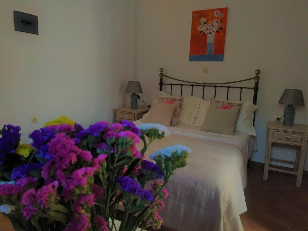 My Little Suites Ermoupoli Esterno foto